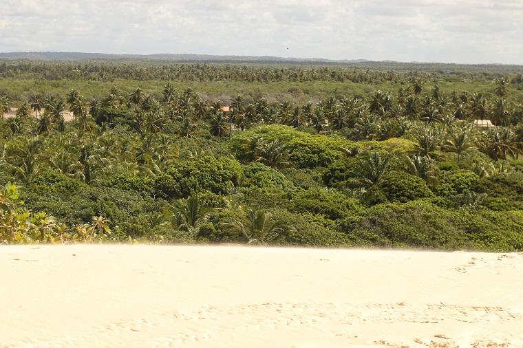 Praia do Saco, Sergipe