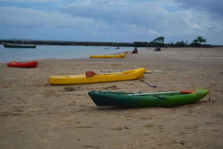 o que fazer na praia dos carneiros pernambuco 