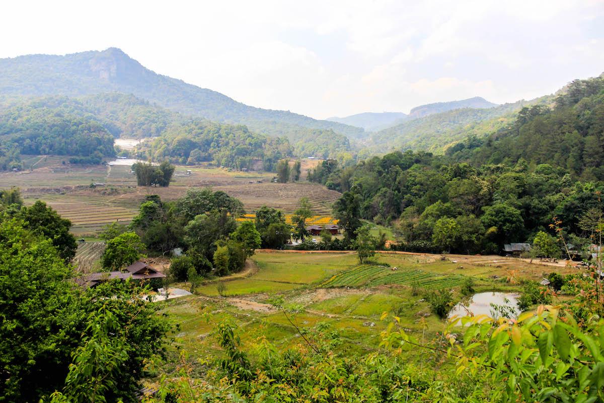 Royal Project - O projeto que transformou plantações de ópio em fazendas orgânicas na Tailândia