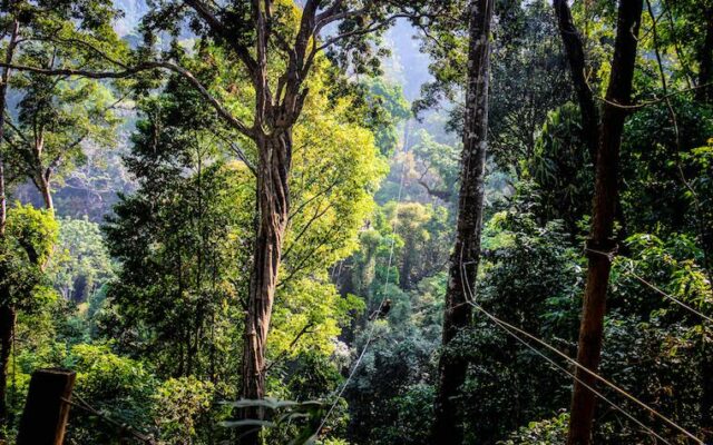 Mae Kampong, vila perto de Chiang Mai