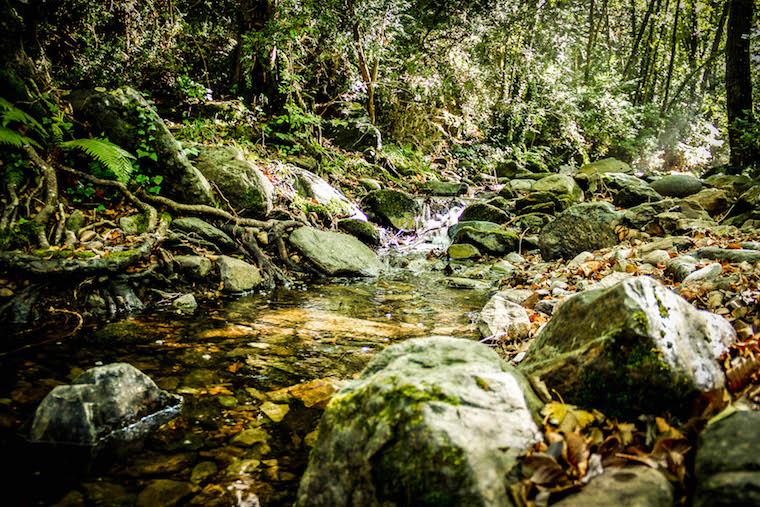 Parque Nacional de Montseny, Barcelona