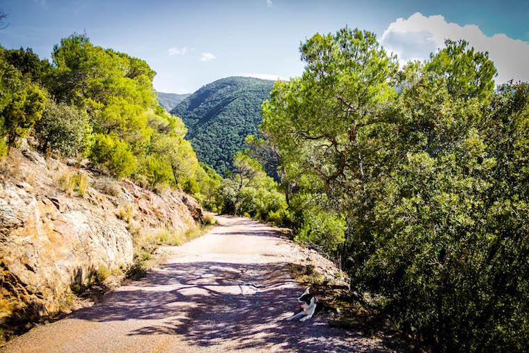 Parque Nacional de Montseny, Barcelona