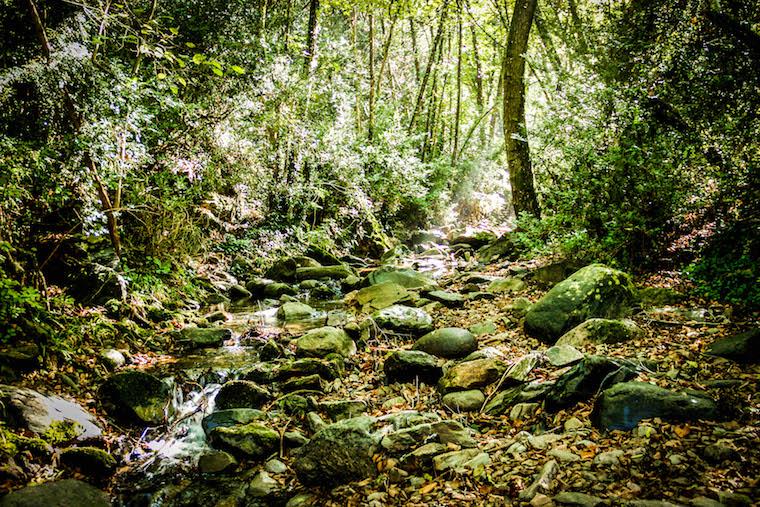 Parque Nacional de Montseny, Barcelona