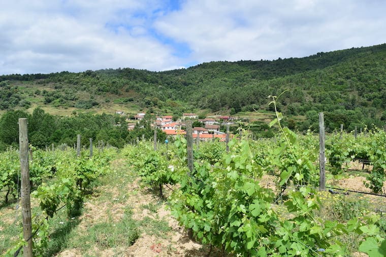 vinícolas em Portugal tras os montes
