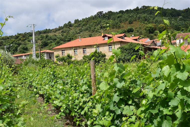 vinícolas em Portugal quinta em tras os montes