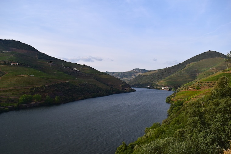 vinícolas em Portugal vale do douro