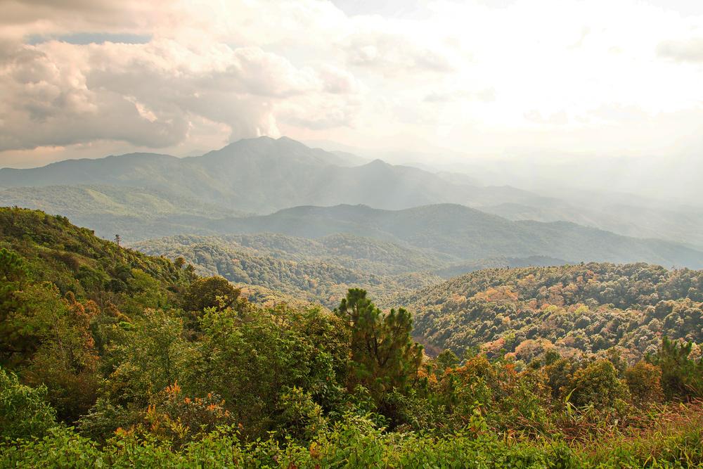 Vista Doi Inthanon