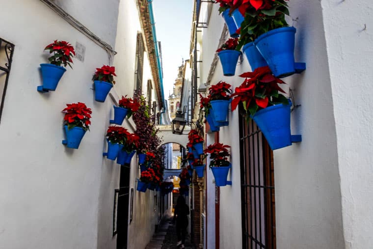 Calleja de Las Flores, Cordoba