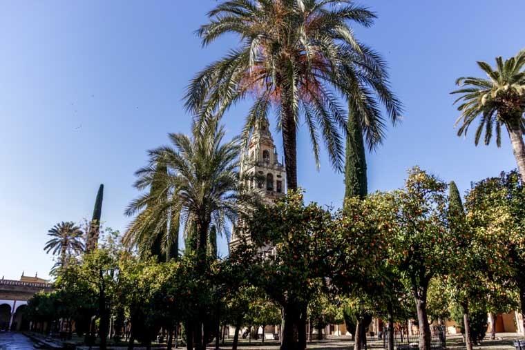 Mesquita-Catedral de Córdoba