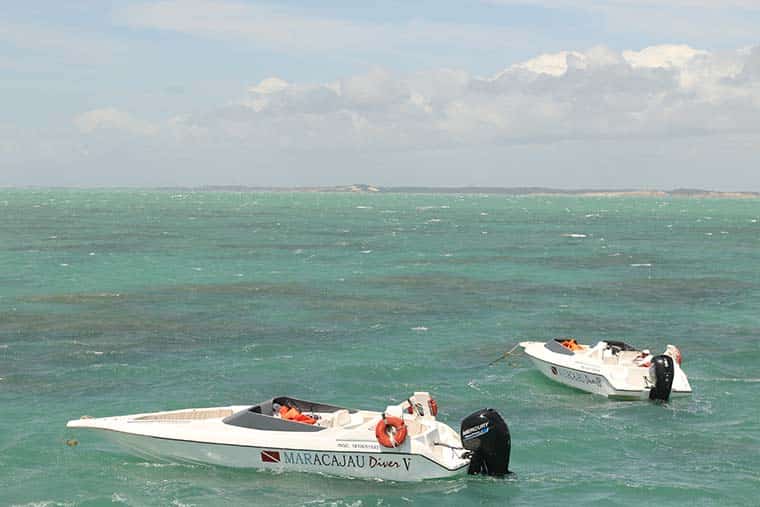 parrachos de maracajaú