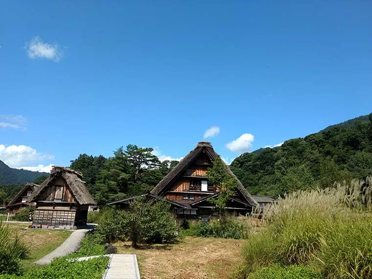 viajar para o japão