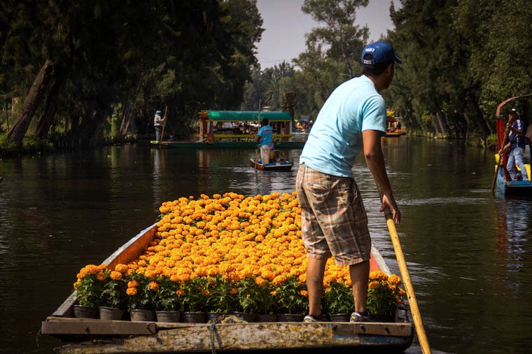 Trajineras de Xochimilco