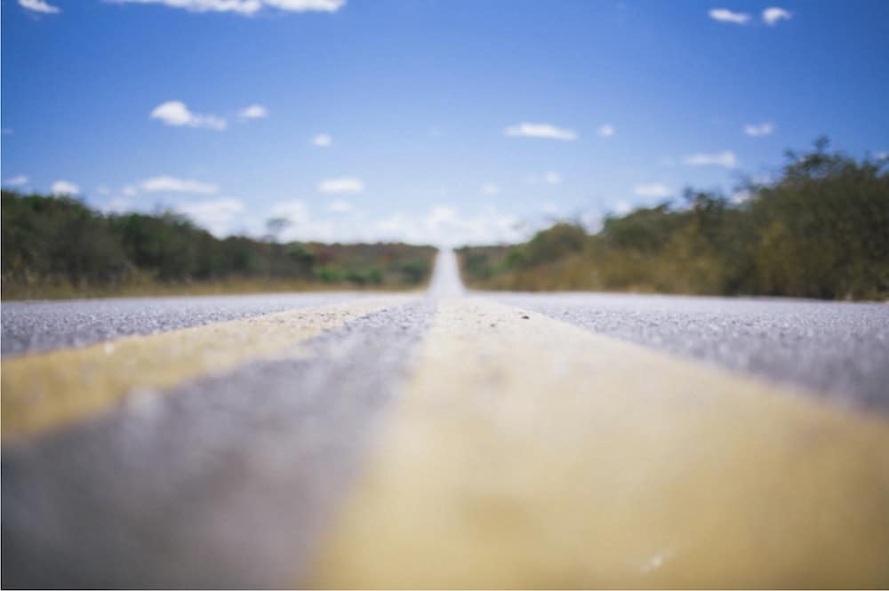 Como se apaixonar pela estrada em uma road trip