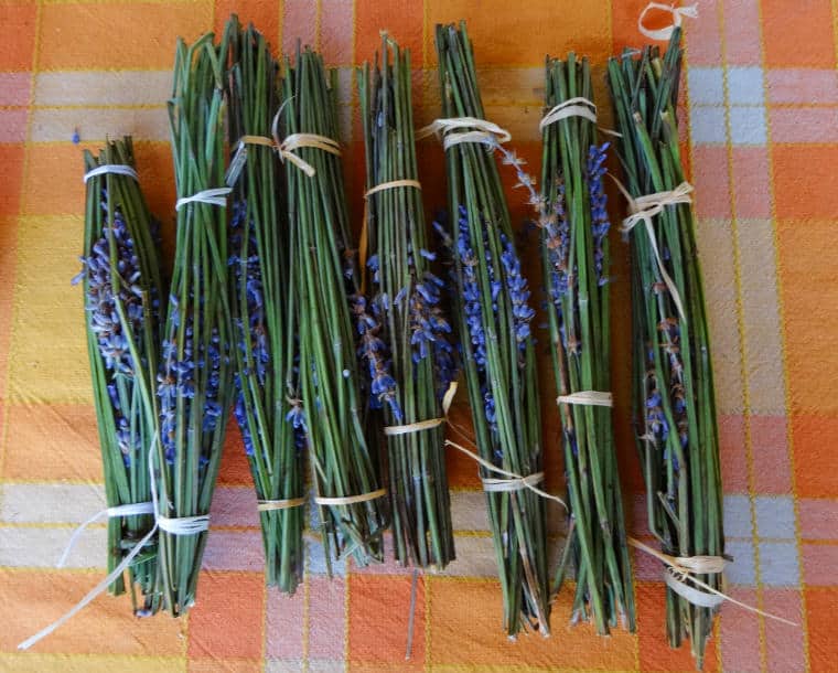 sachés perfumados de lavanda natural - presentes produzidos para os vizinhos