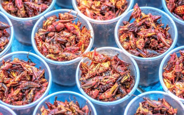 Chapulines - México
