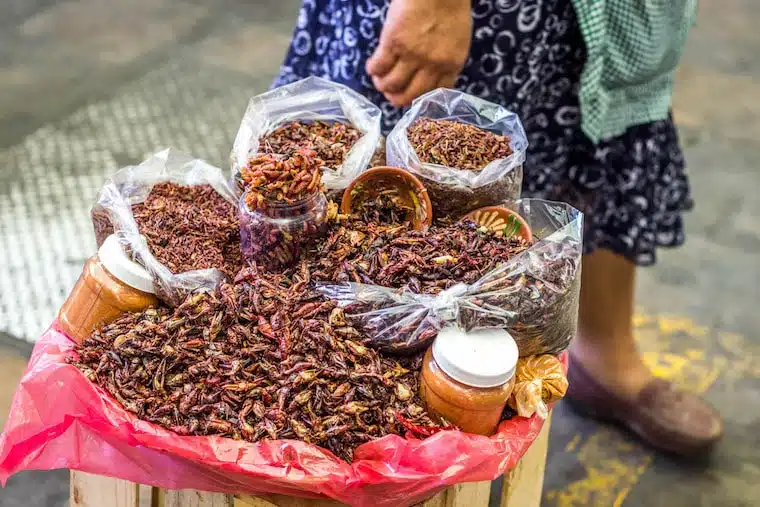 Comendo insetos no mercado de Oaxaca - Chapulines