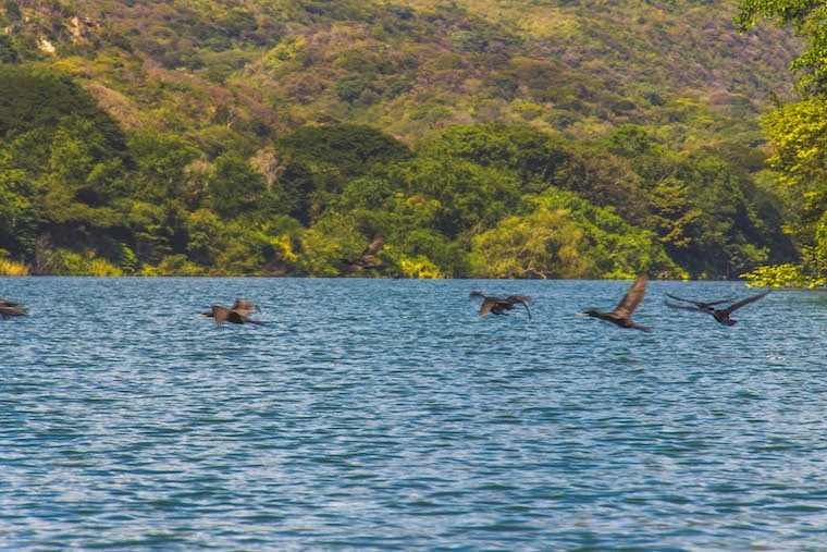 Cânion do Sumidero em Chiapas, México