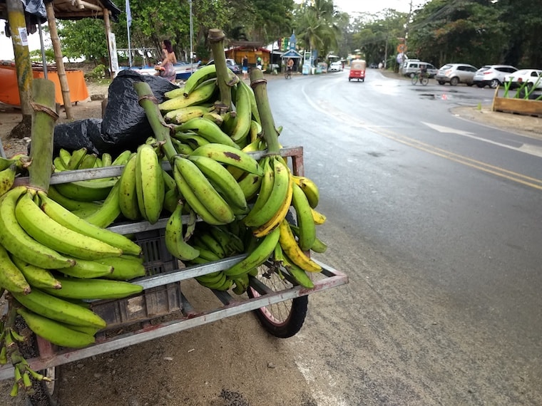 Banana na Costa Rica