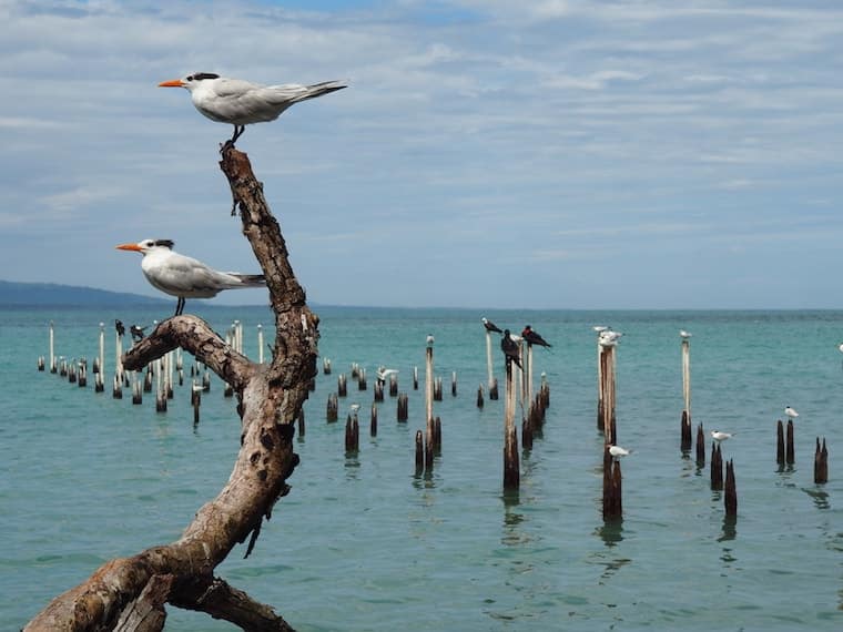 Parque Nacional Cahuita, Costa Rica