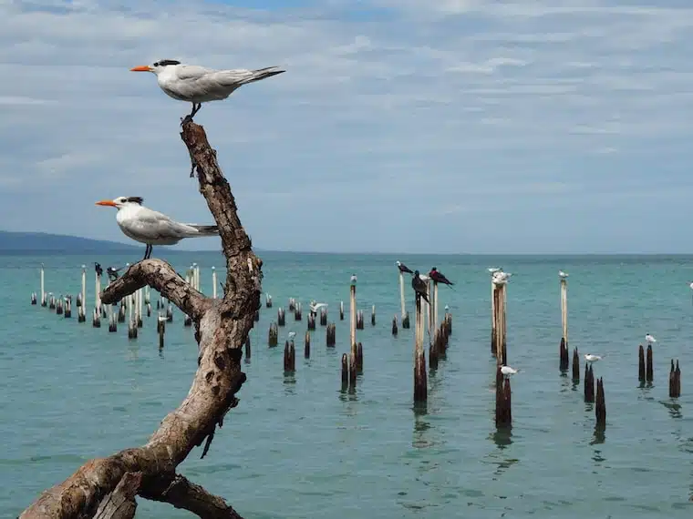 Parque Nacional Cahuita, Costa Rica