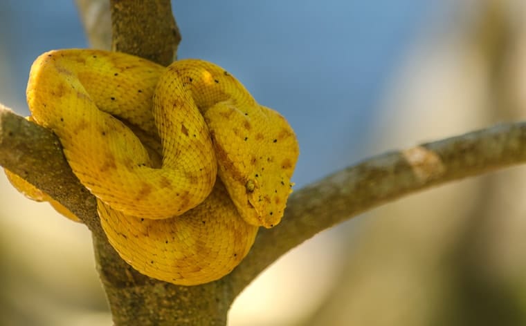 Parque Nacional Cahuita, Costa Rica