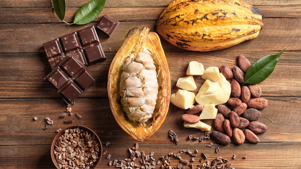 historia do chocolate cacau