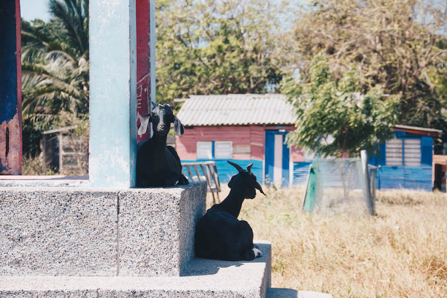 Orika, Isla Grande, Isla del Rosario