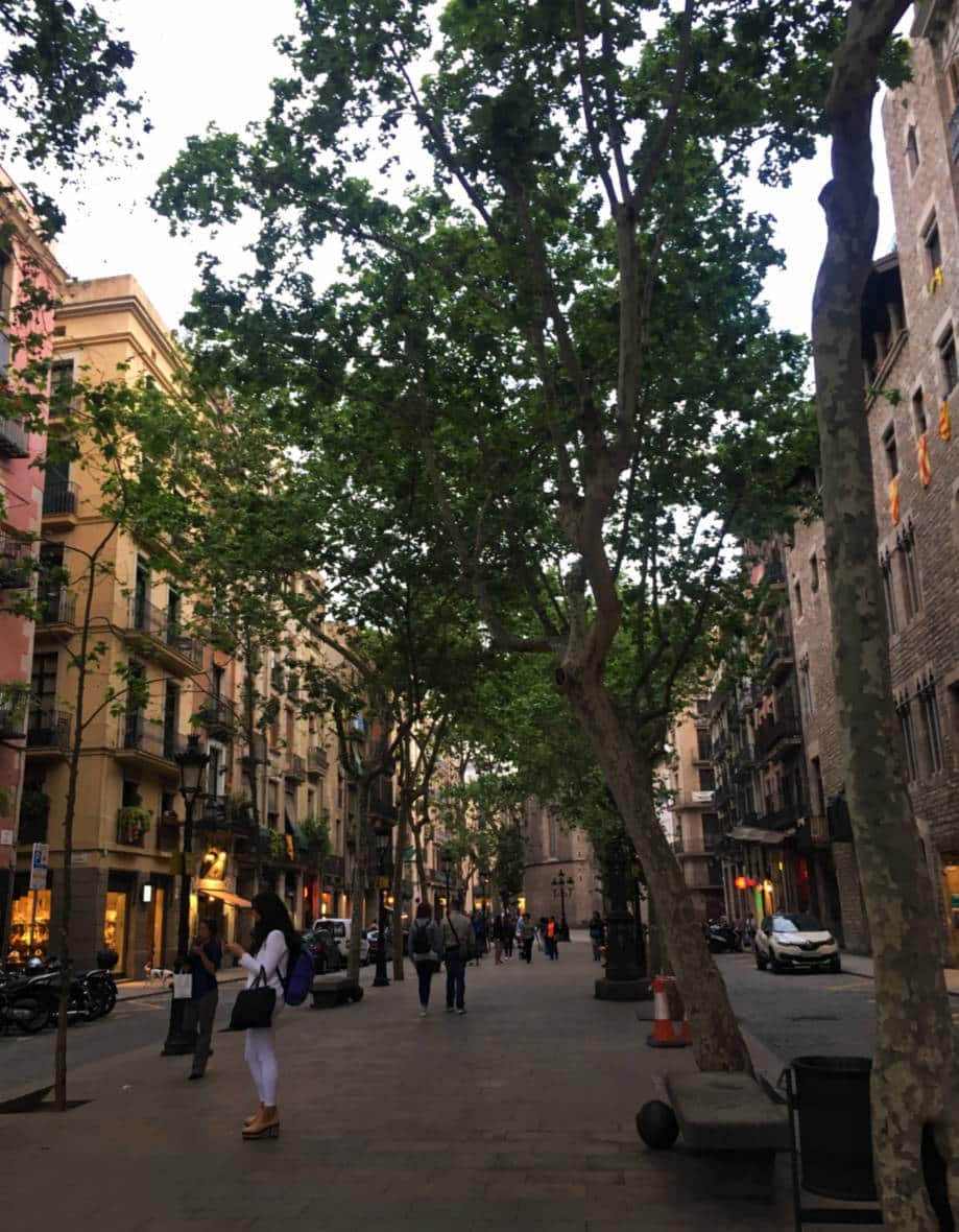 passeig del born barcelona