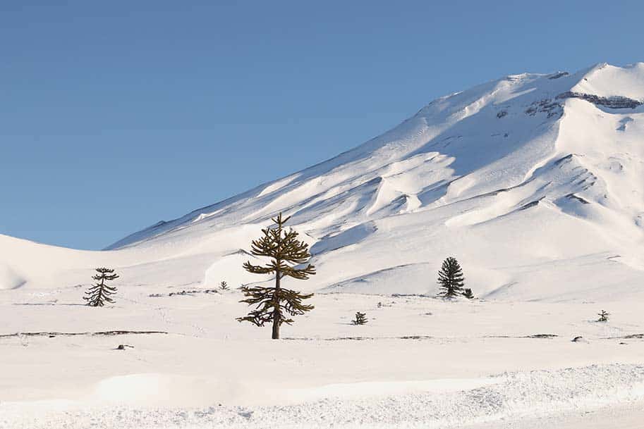 Corralco no Chile