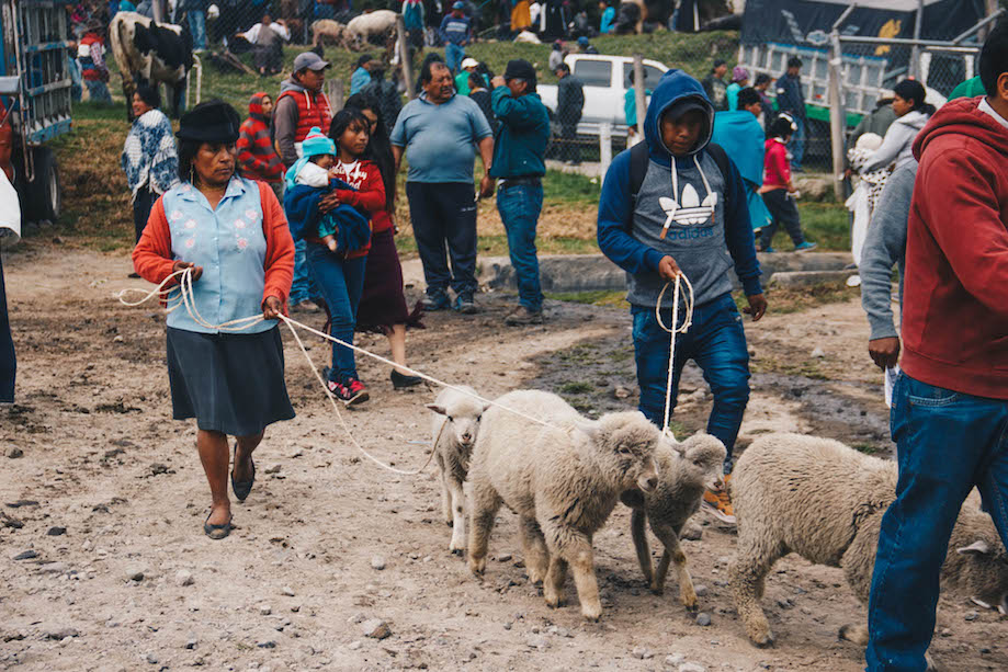 Mercado de Animais de Otavalo
