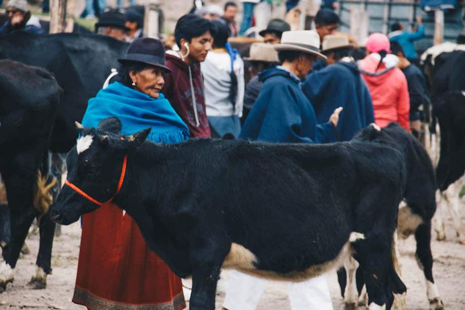 Mercado de Animais de Otavalo