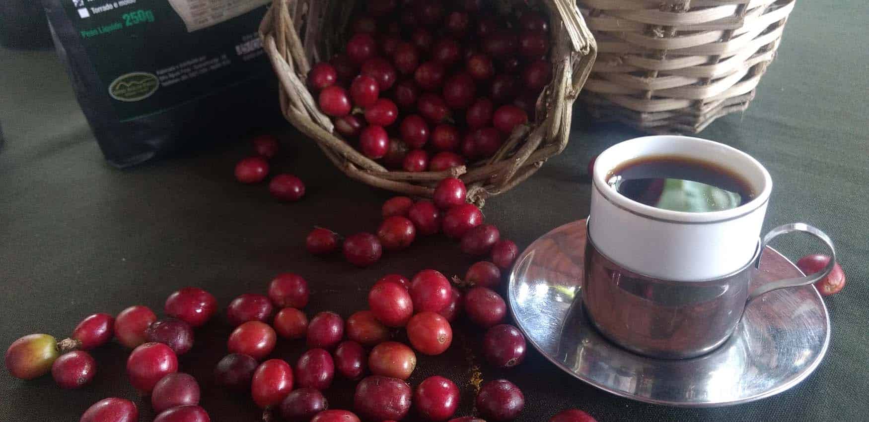 Café Verde Ceará