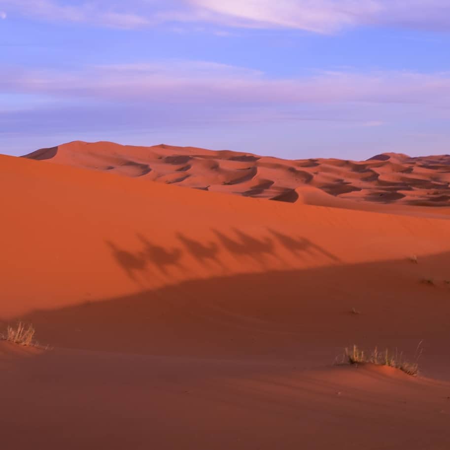 deserto do saara no marrocos erg chebbi