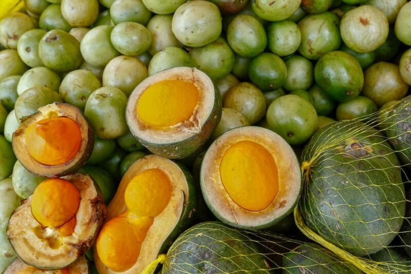 Pequi: o gostinho do cerrado que divide opiniões - 360meridianos