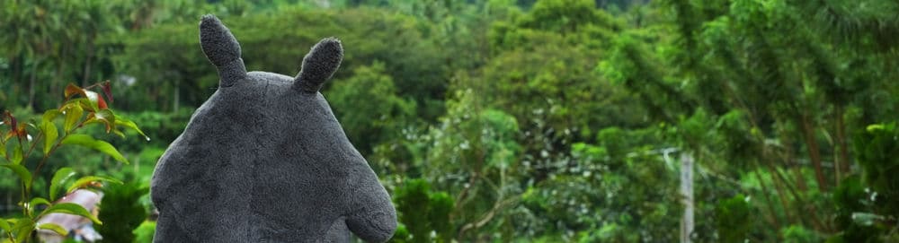 totoro museu ghibli japao