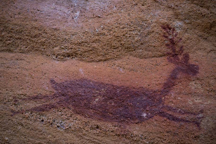 arte rupestres na serra da capivara