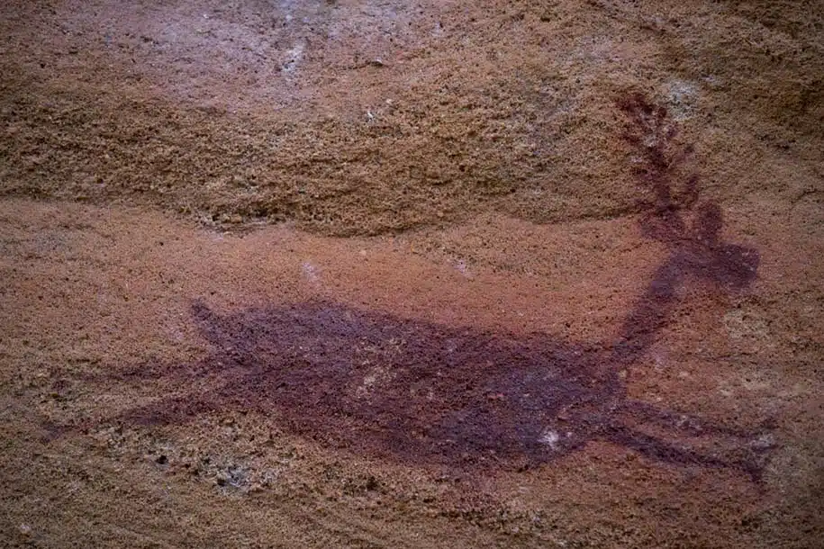 arte rupestre nella Serra da Capivara