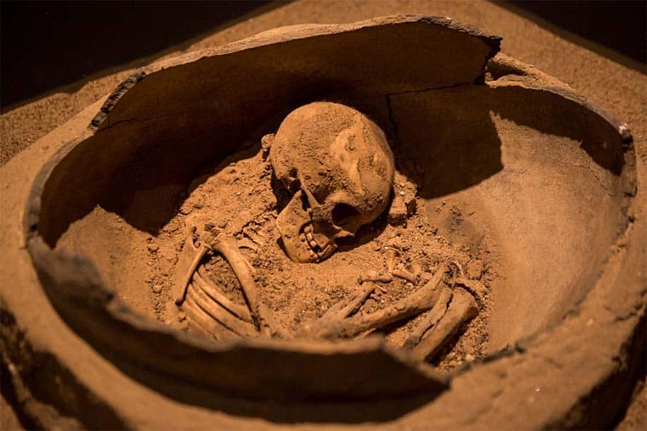 esqueleto encontrado durante as escavações 