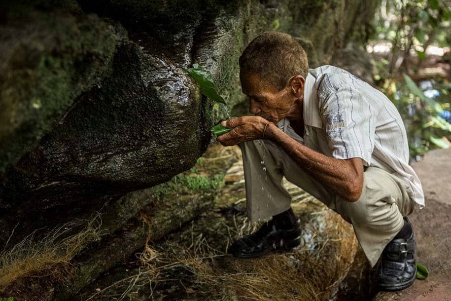 seu noca bebe água do olho dágua