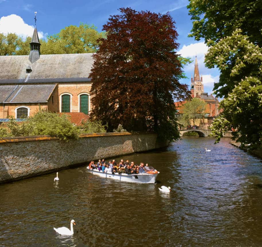 o que fazer em bruges vista cisnes