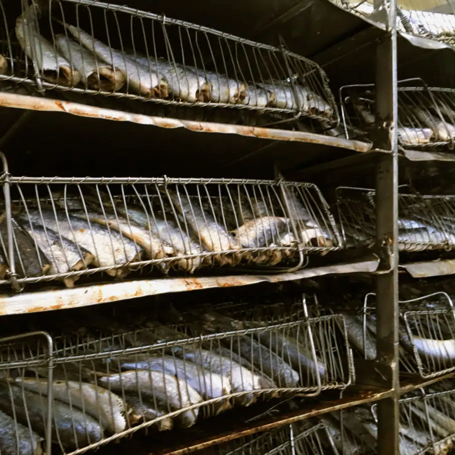sardinhas assadas para irem para lata
