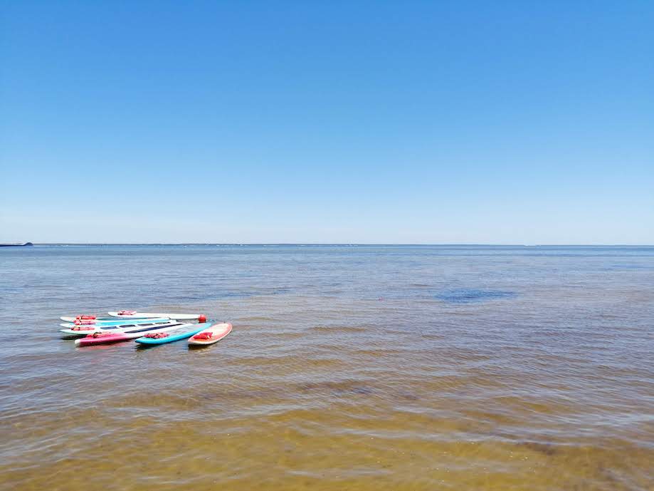 pranchas de SUP em praia de Destin, Florida