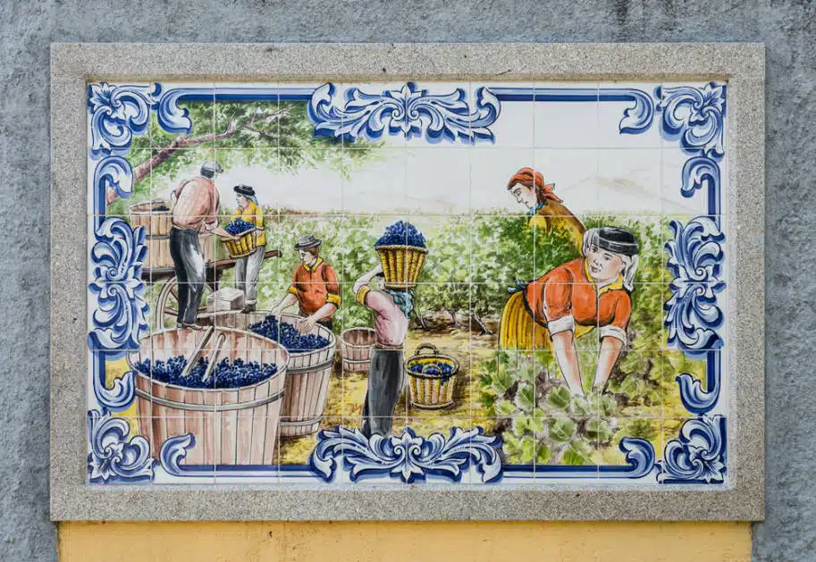 azulejo vindimas douro portugal