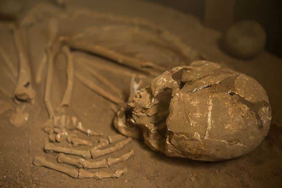 esqueleto em posição fetal, acervo do museu do castelinho