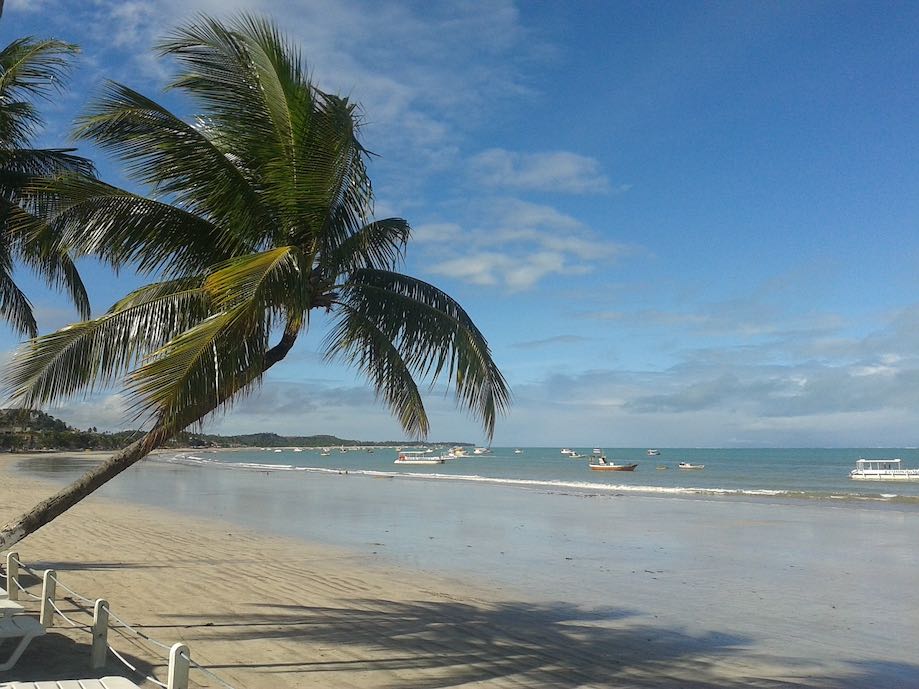 Praias do nordeste: maragogi