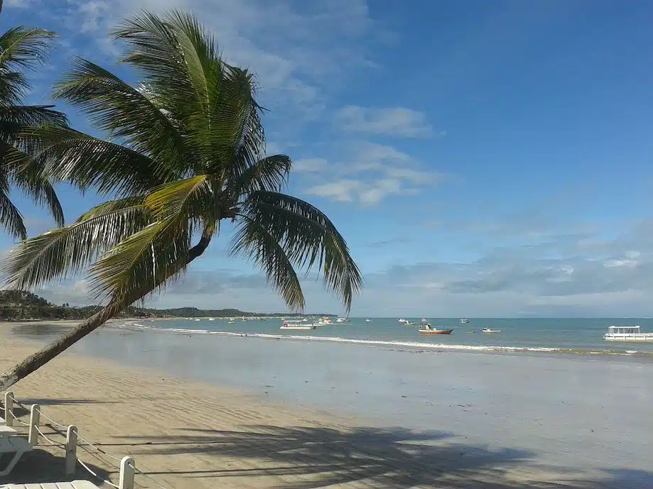 VIAGEM AO NORDESTE DE SP A MACEIÓ ( 7° PARTE) ARACAJU SE ATÉ A SAÍDA E  PRÓPRIA COM ALMOÇO E VALORES 