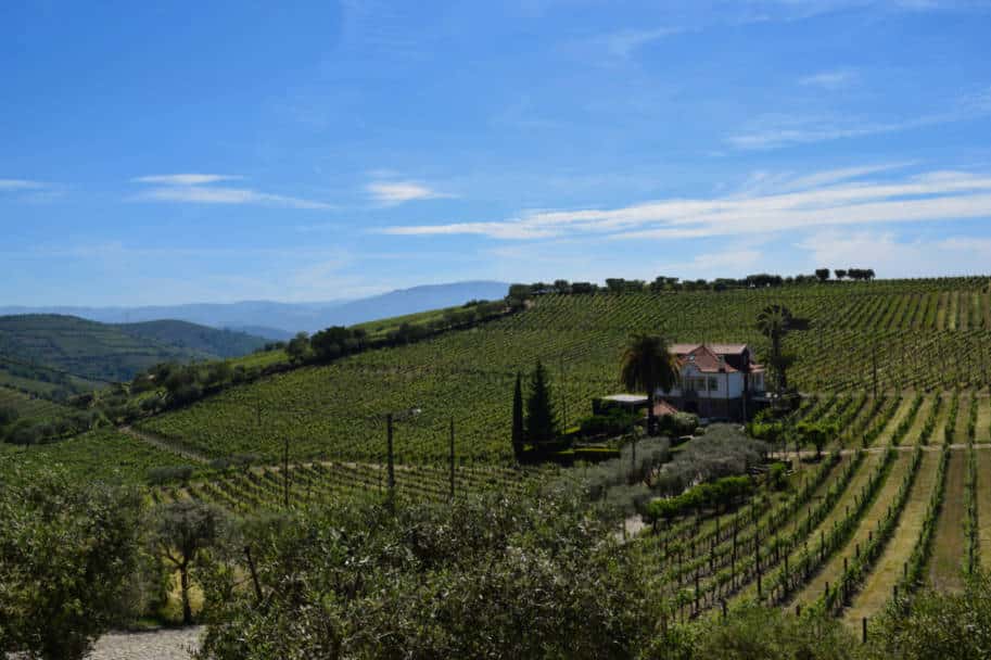 quinta vinicolas para visitar no douro portugal