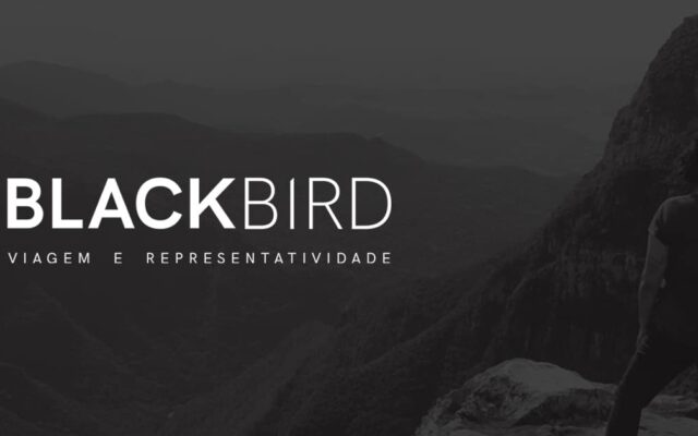 black bird viajantes negros