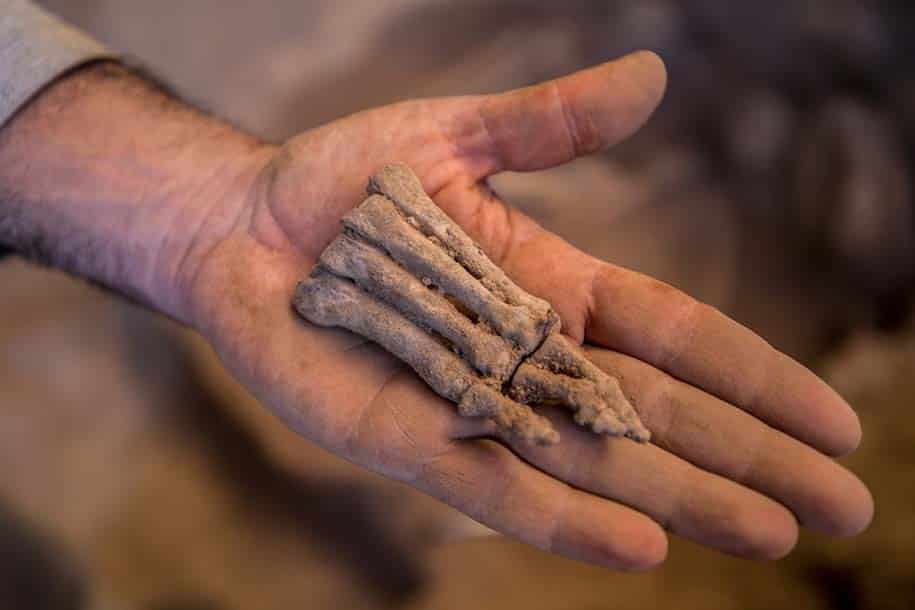 escavação arqueológica na região de lagoa santa