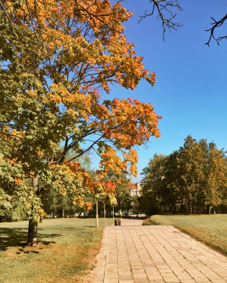 parque em vilnius lituania